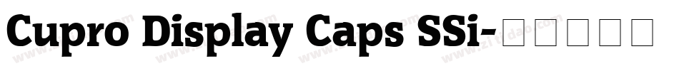 Cupro Display Caps SSi字体转换